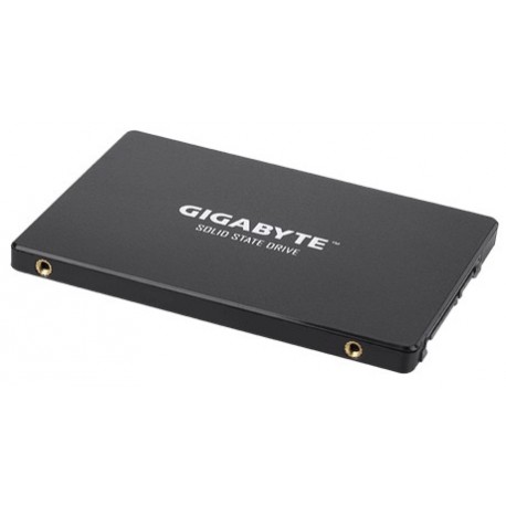 Gigabyte GP-GSTFS31240GNTD