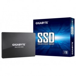 Gigabyte GP-GSTFS31100TNTD