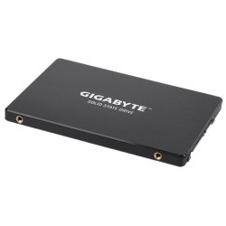 Gigabyte GP-GSTFS31256GTND