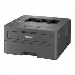 Spausdintuvas Brother HL-L2445DW