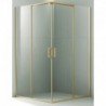 Dušo kabina AW1142 100x100 GOLD skaidri be pado