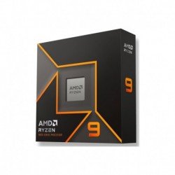 Procesorius AMD Ryzen 9 9900X 