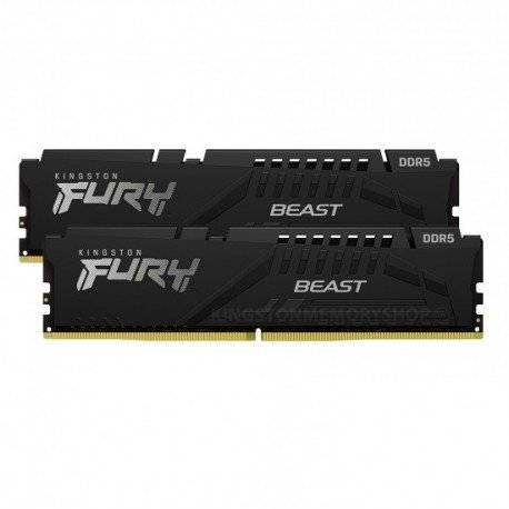 Kingston Fury Beast RGB