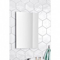 Veidrodis ALTERNA Milano 60x80