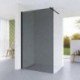 Dušo sienelė AQUABATOS Walk-in T8 120, black