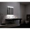 Veidrodis su LED apšvietimu CLASSIC 4558 58x80