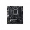 MSI PRO A620AM-B EVO