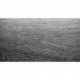 Laminuota grindų danga 10MN Marine 1380*159*10mm: Spalva-3280 Vandenyno ąžuol