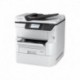 Spausdintuvas Epson Grey, White