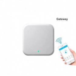 Wi-Fi&Bluetooth GV2 valdiklis spynoms iNOVO